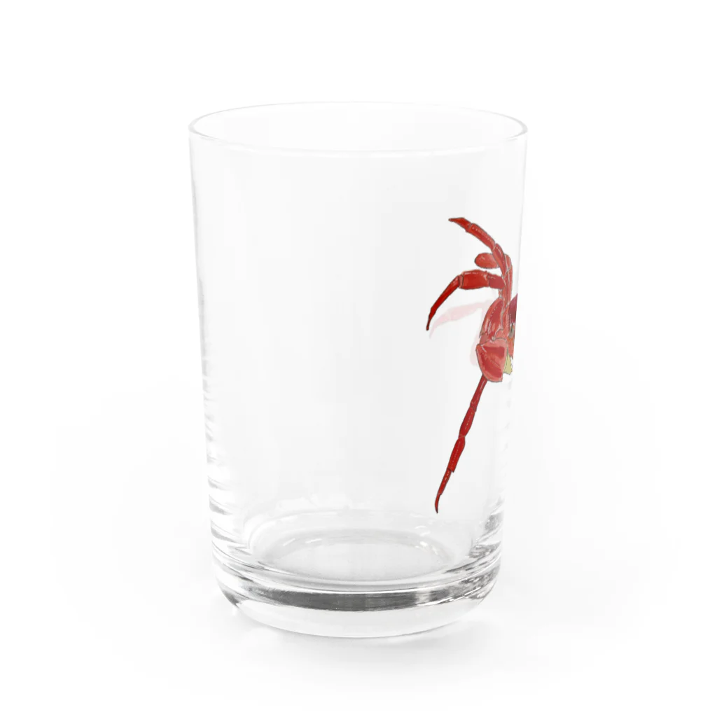 Coshi-Mild-Wildのカニ Water Glass :left