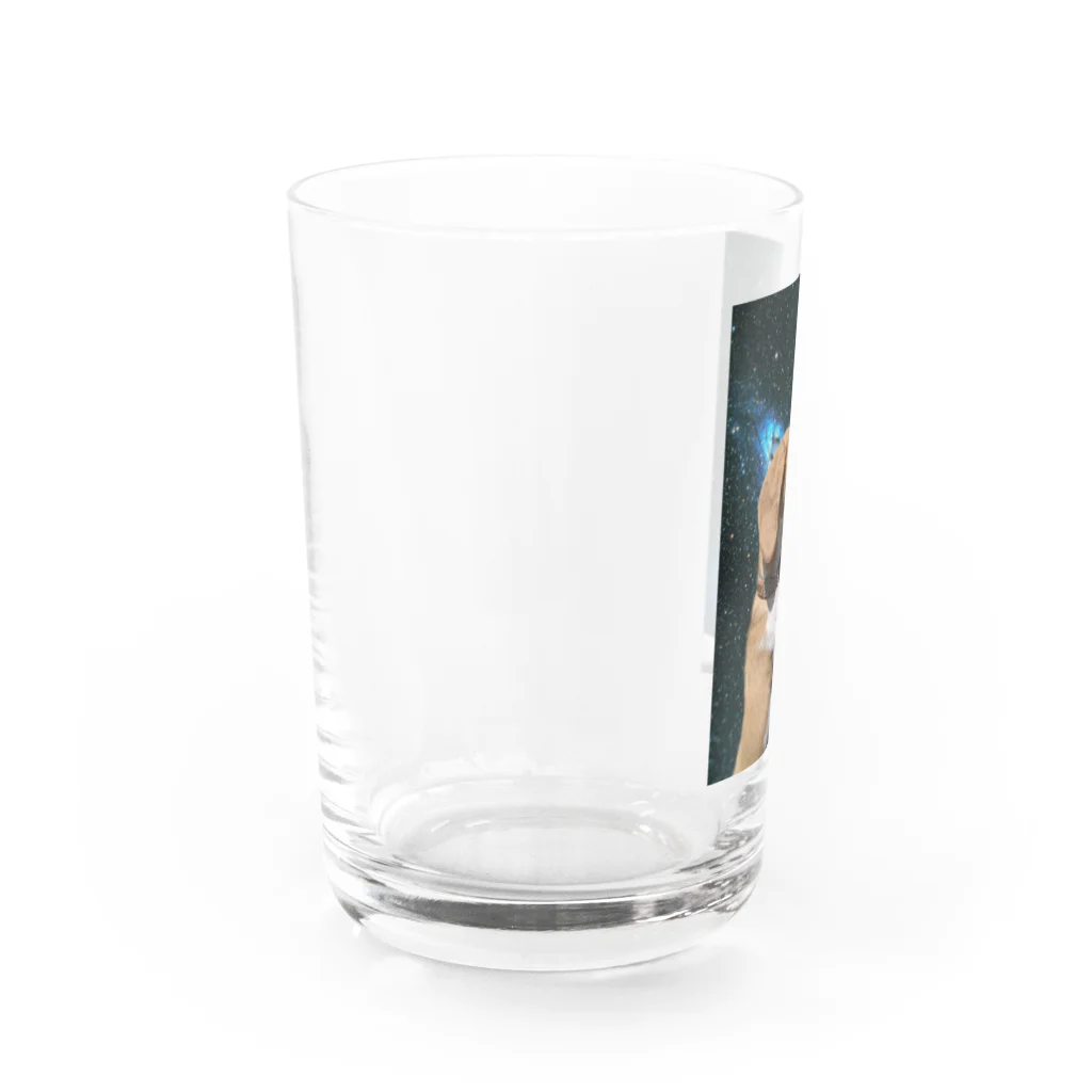 はな日記のはな Water Glass :left