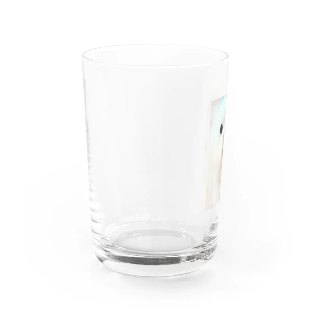白い妖精の銀ちゃん Water Glass :left
