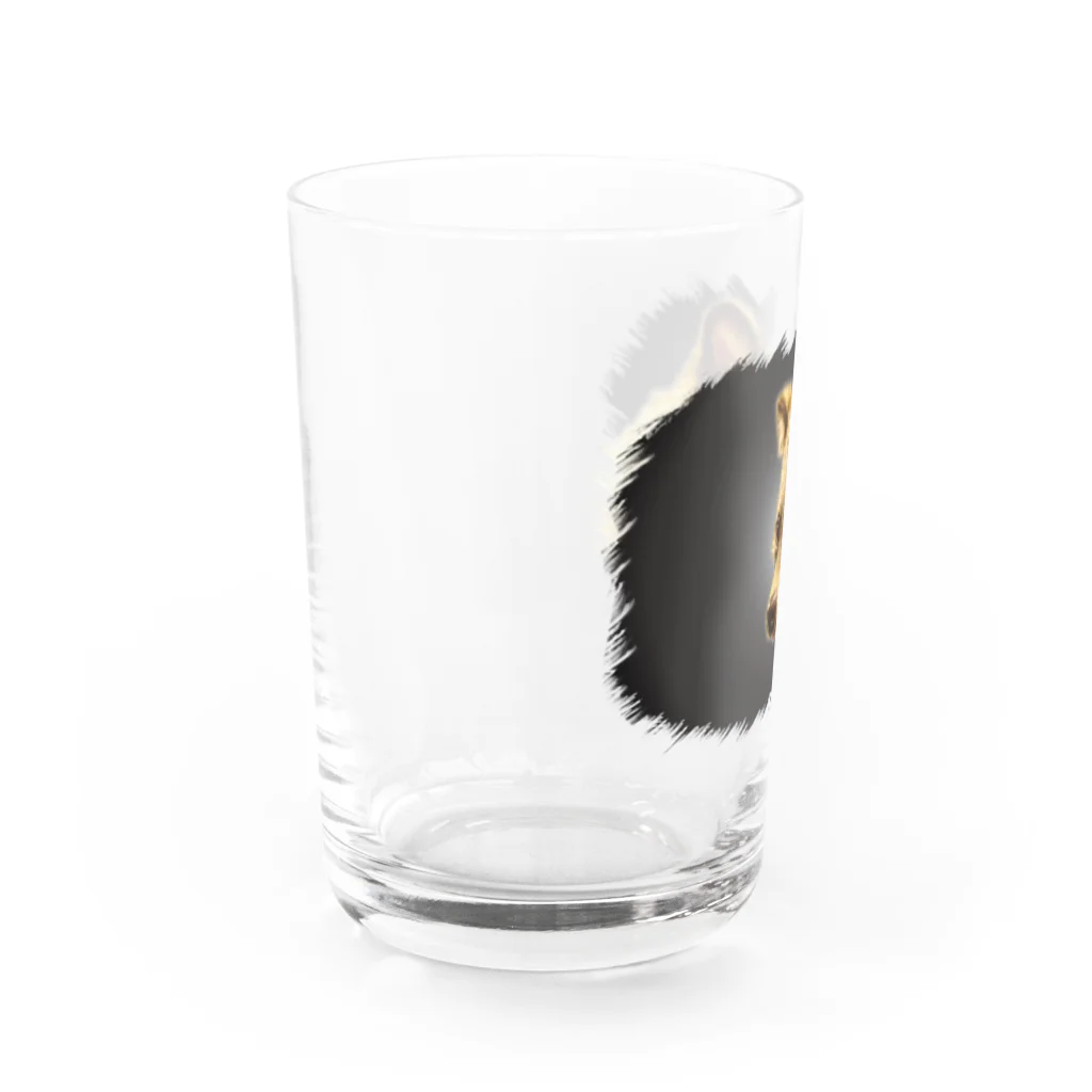 有限会社サイエンスファクトリーのたぬきのリンク　黒 Water Glass :left