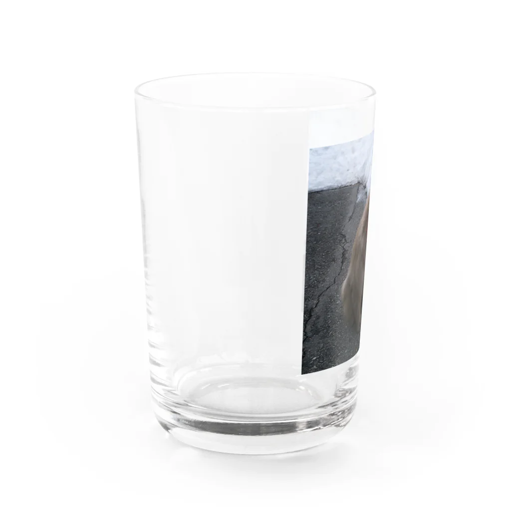 さッとんのおさるちゃん Water Glass :left