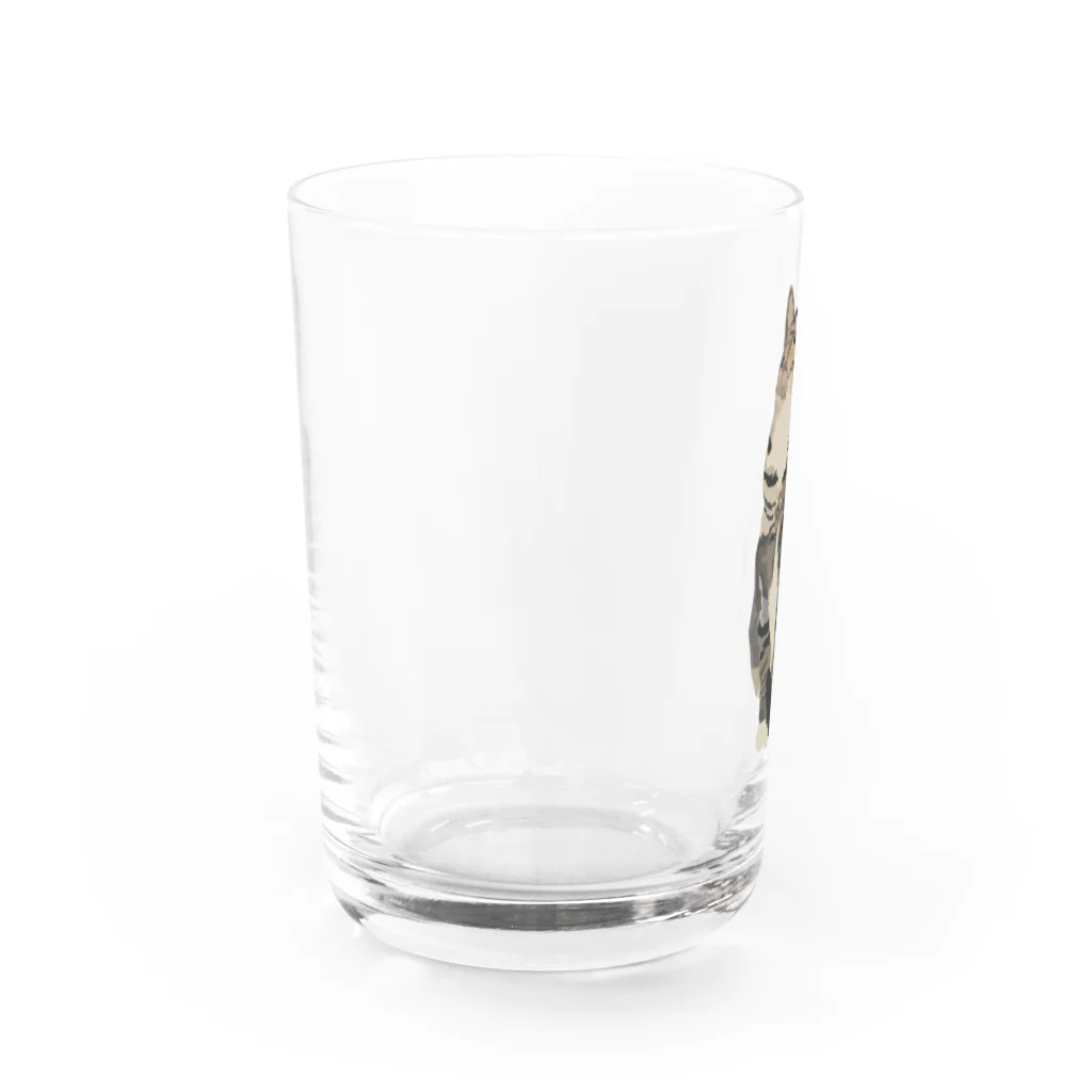 NAGATAIのTabby Cat Water Glass :left