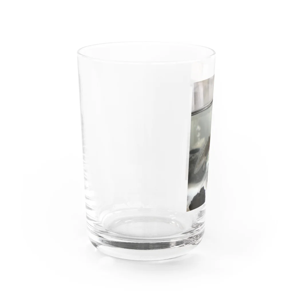 4ママブイやんのウーパールーパーのクロスケ Water Glass :left