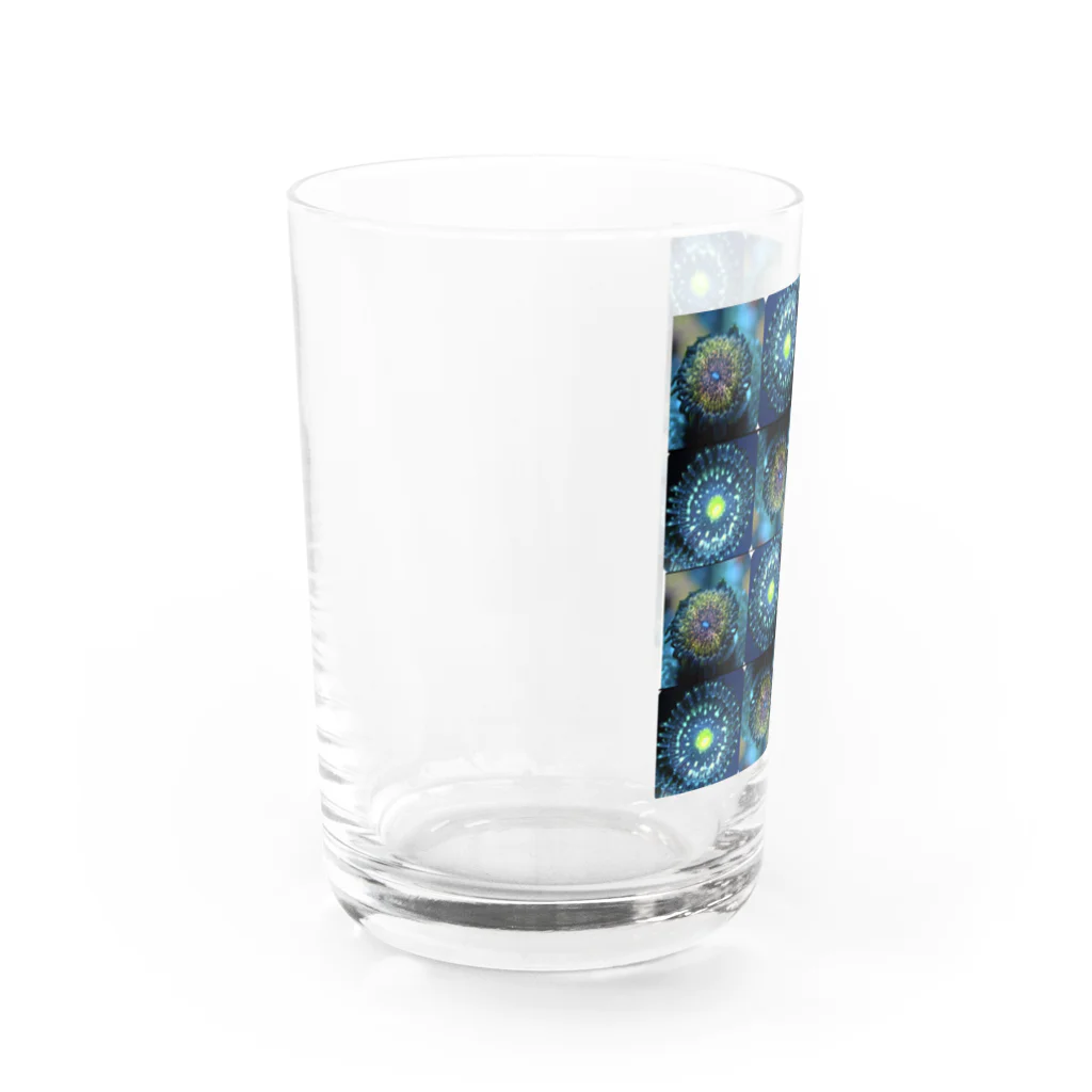 ブドウマンのマメスナグッツ Water Glass :left