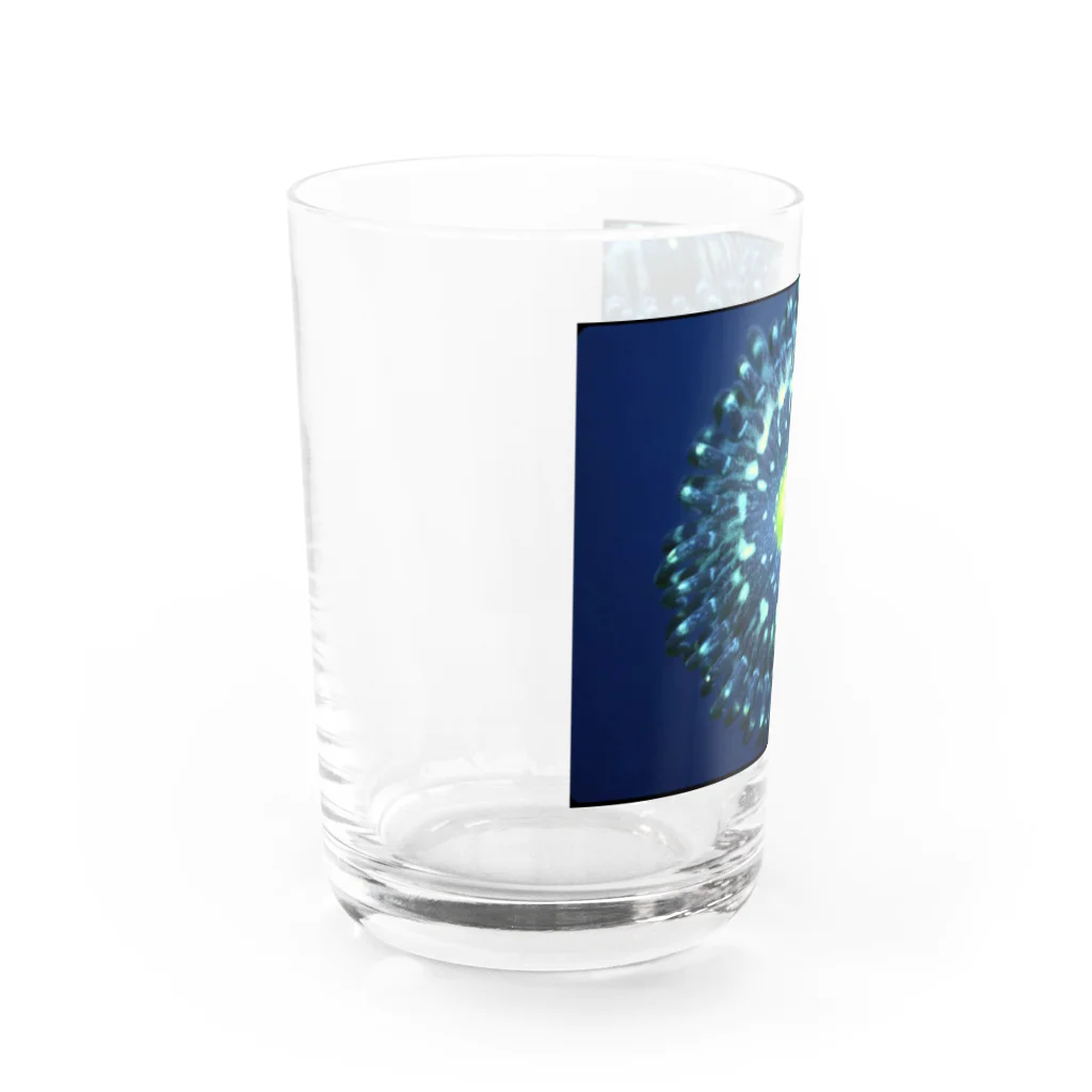 ブドウマンのブルーラグーン Water Glass :left