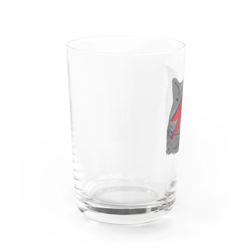 小鳥と映画館のDボウイのメイクのネコ Water Glass :left