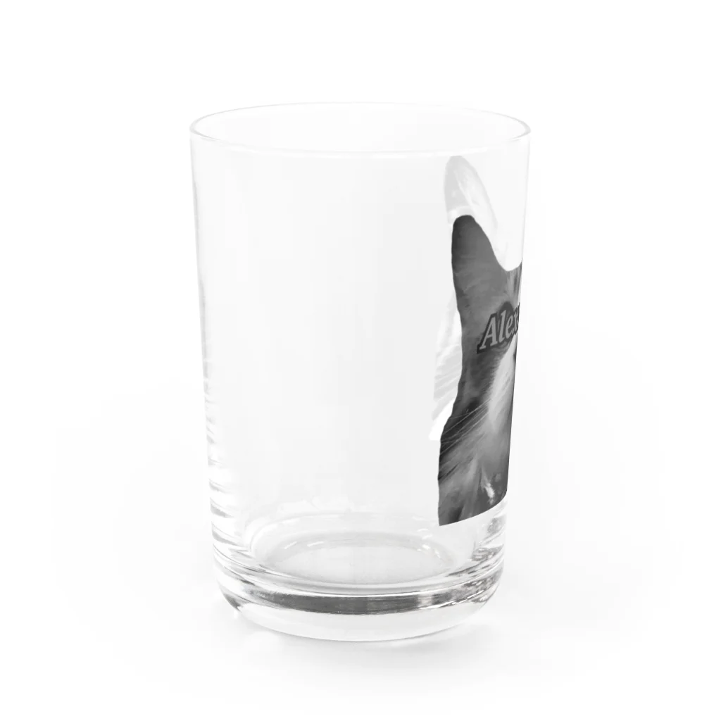 てんはるの目線アレクサンダー Water Glass :left