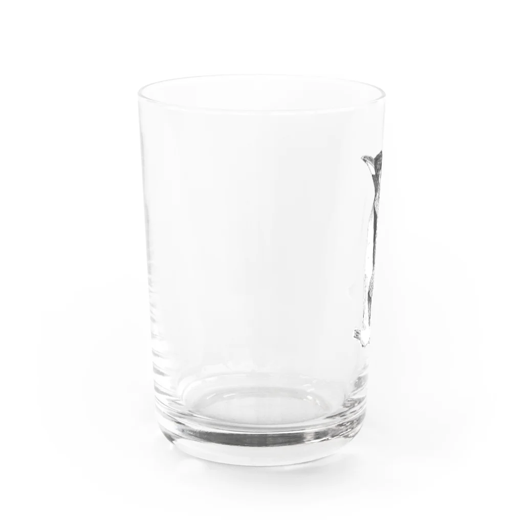３２１６のペンギン Water Glass :left