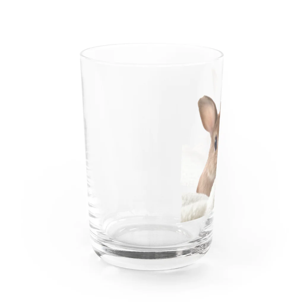 うさのロゴグッズのうさの写真グッズ Water Glass :left