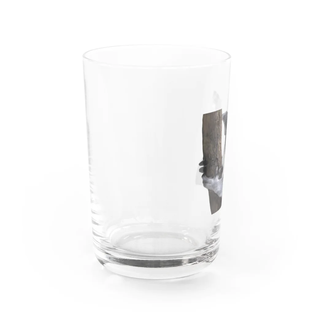 いきもの大好き！ほほえみフレンズのコアラの日常 ほほえみフレンズ Water Glass :left