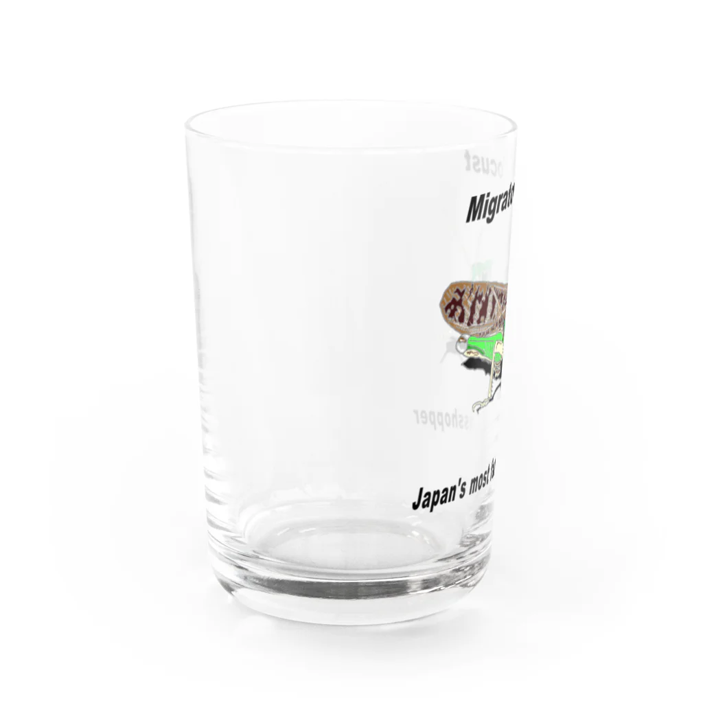 ペーパークラフト作家 鍋嶋通弘のトノサマバッタ1 Water Glass :left