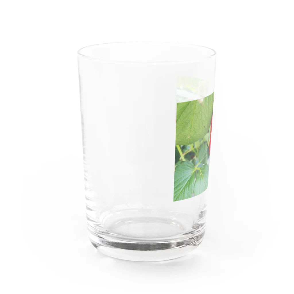 癒しショップのストロベリーちゃん Water Glass :left