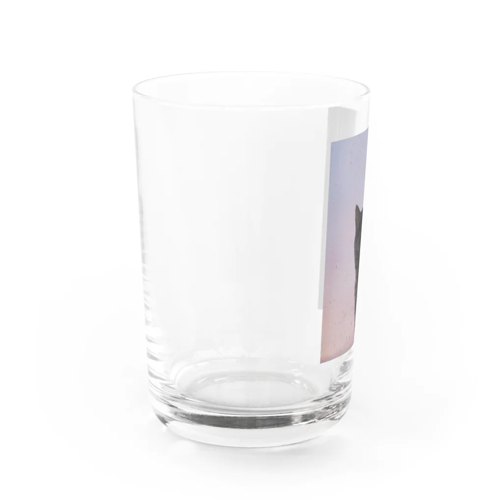 たけのこのお店の黄昏ねこ Water Glass :left