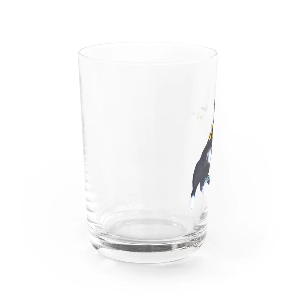 suca! mallのダルスカ Water Glass :left