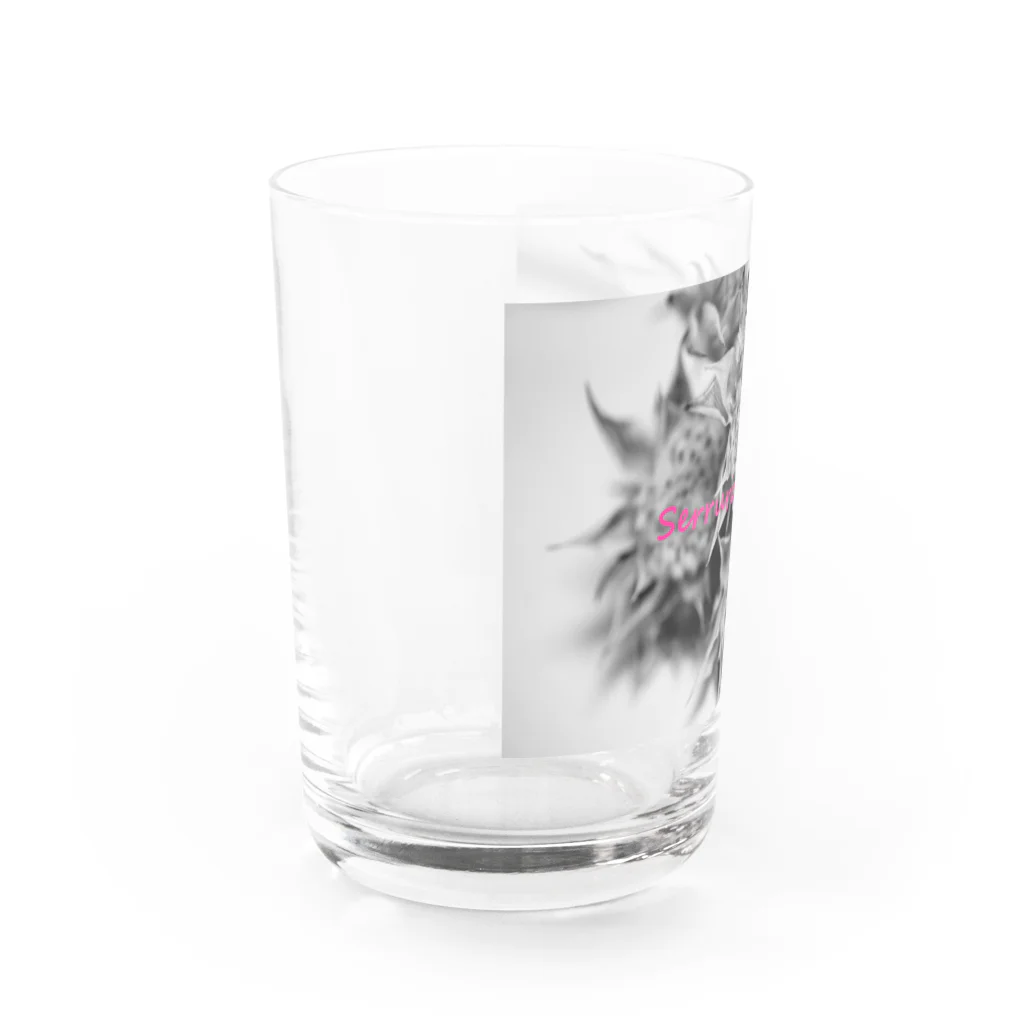 photo-kiokuのセルリア Water Glass :left