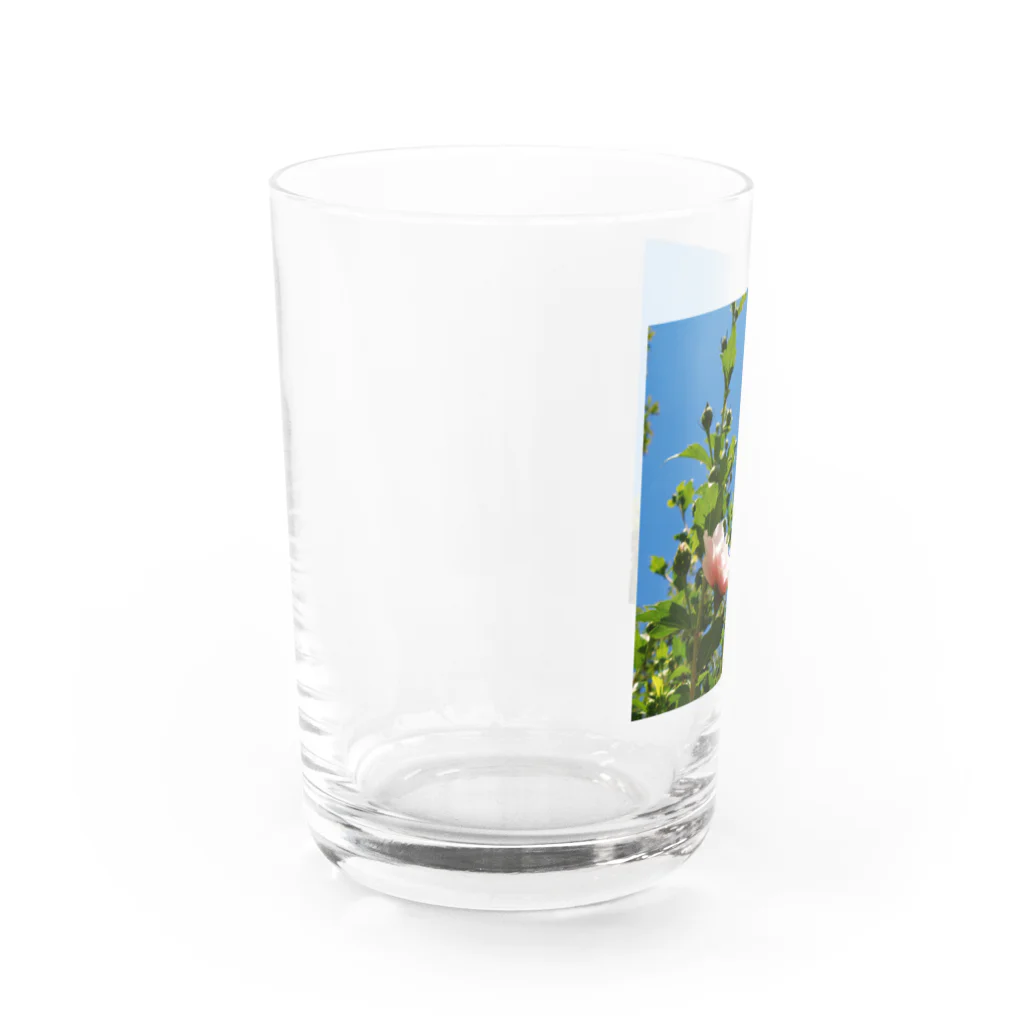 風車堂の6'-Family Ensemble Water Glass :left