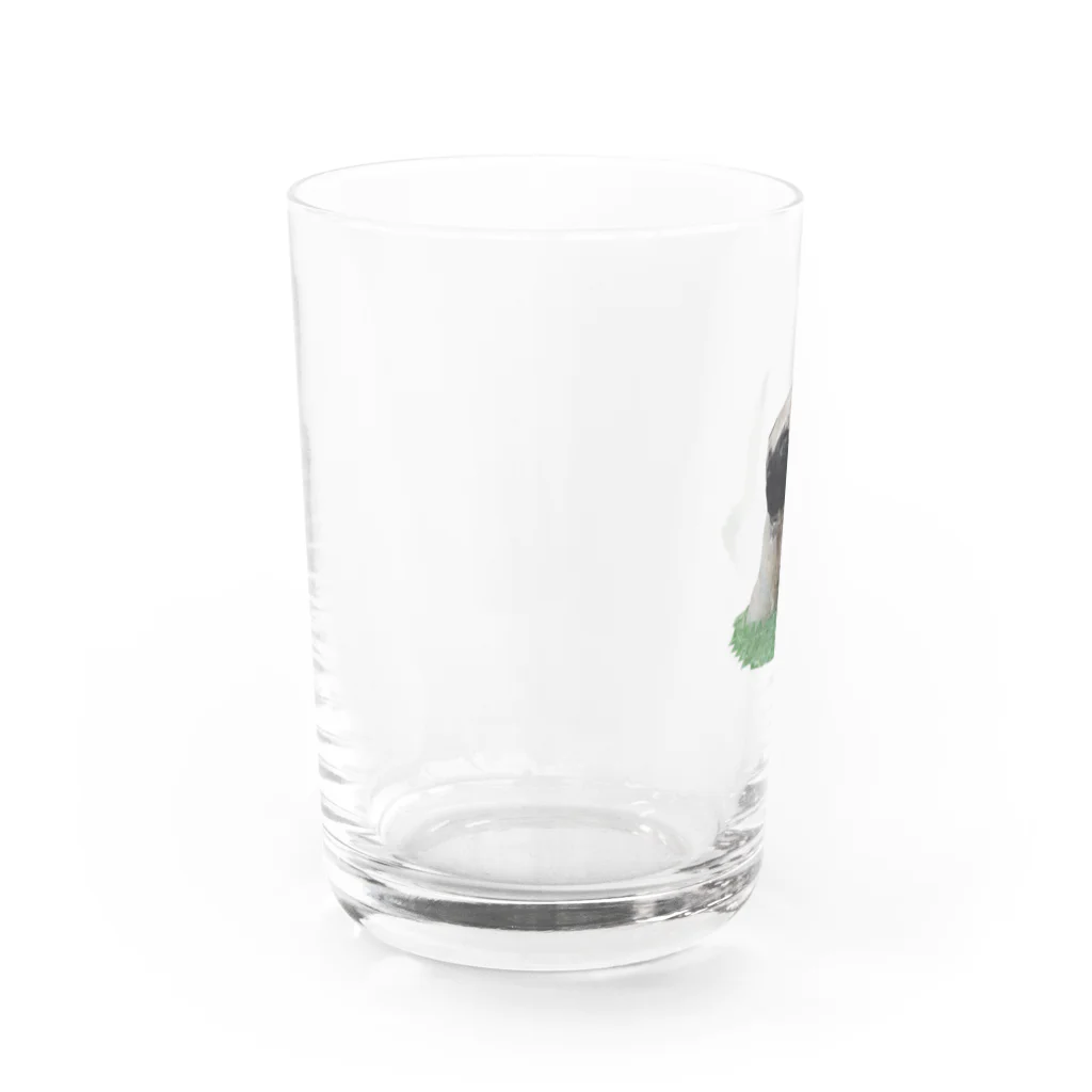 パグのARパグ Water Glass :left