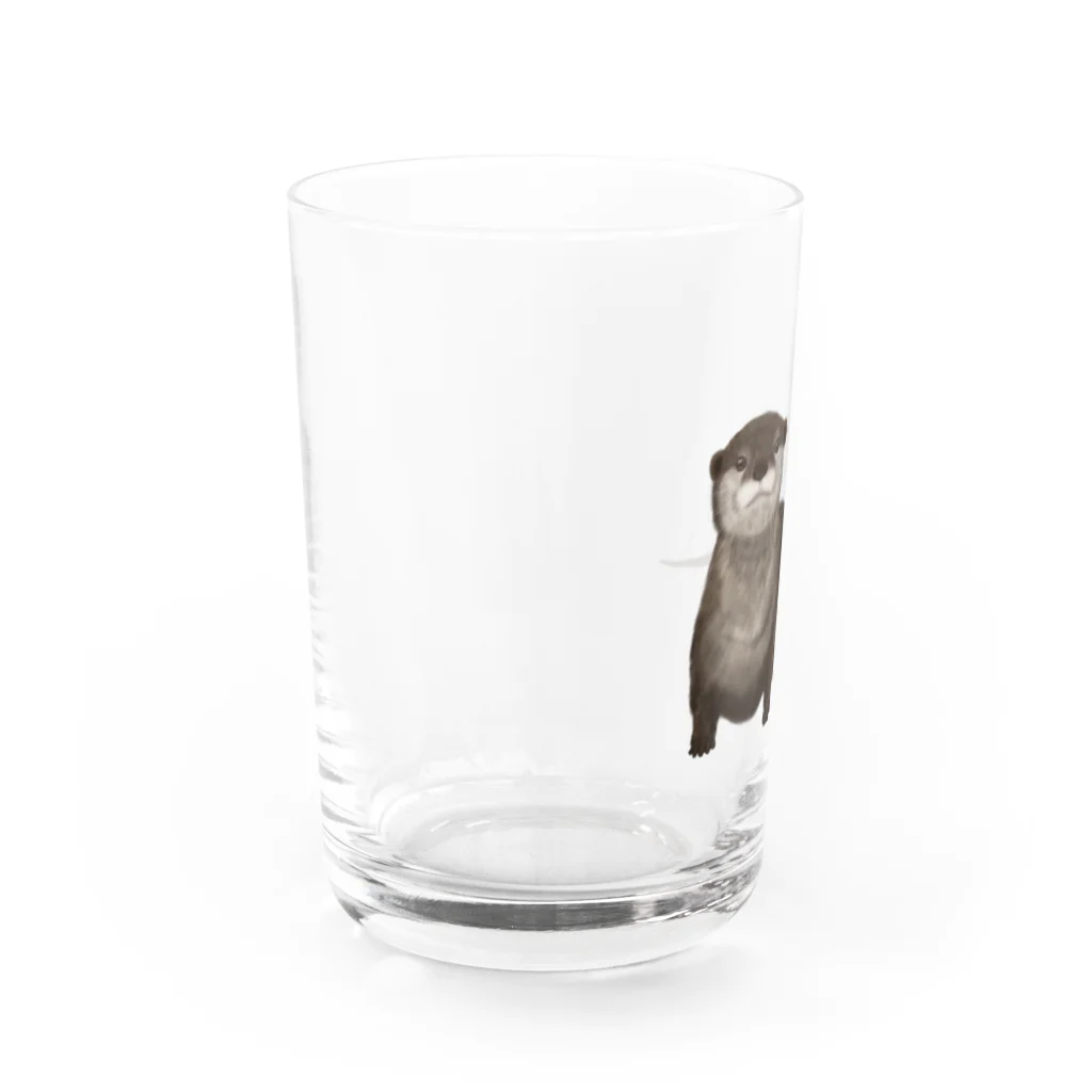 ひはせのふわふわコツメカワウソ Water Glass :left