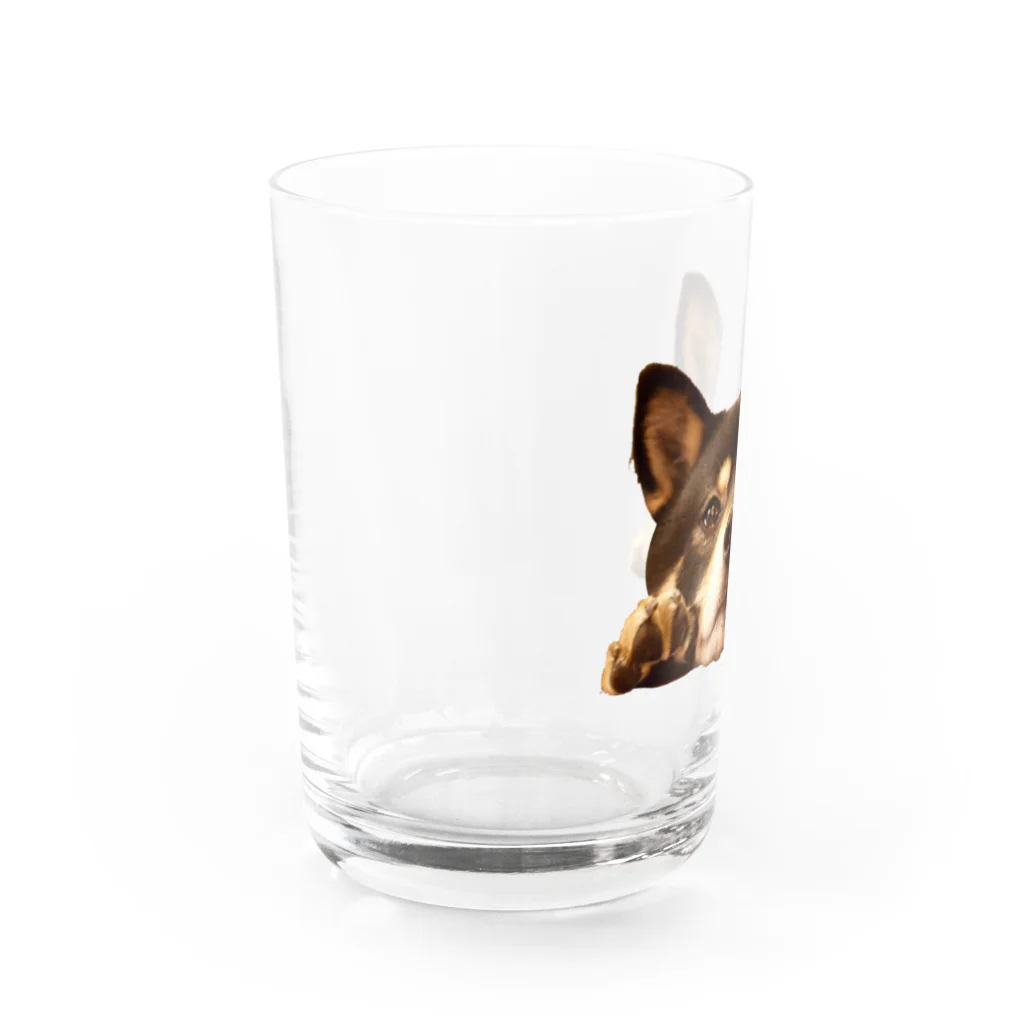 ノアノアのおねだりノアさん Water Glass :left