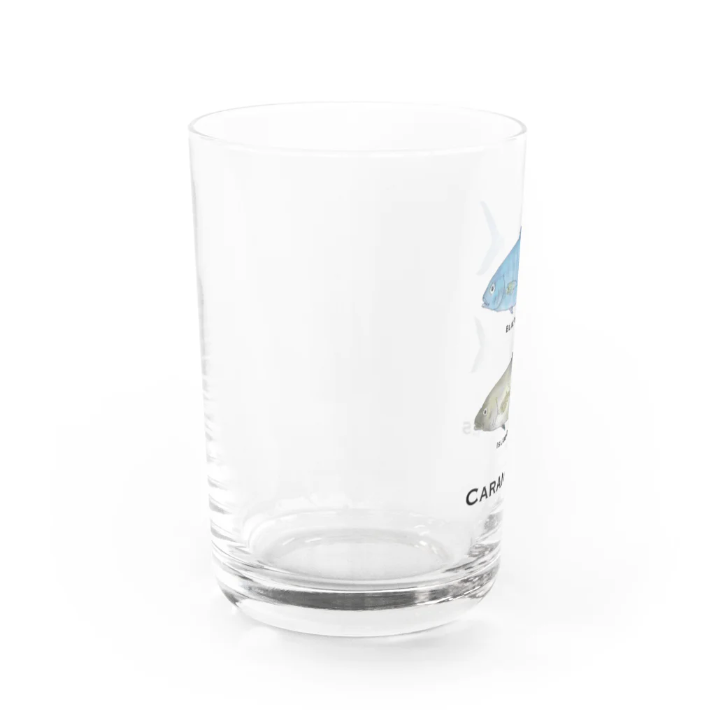 Tarchi Macharのヨロイアジ族 Water Glass :left