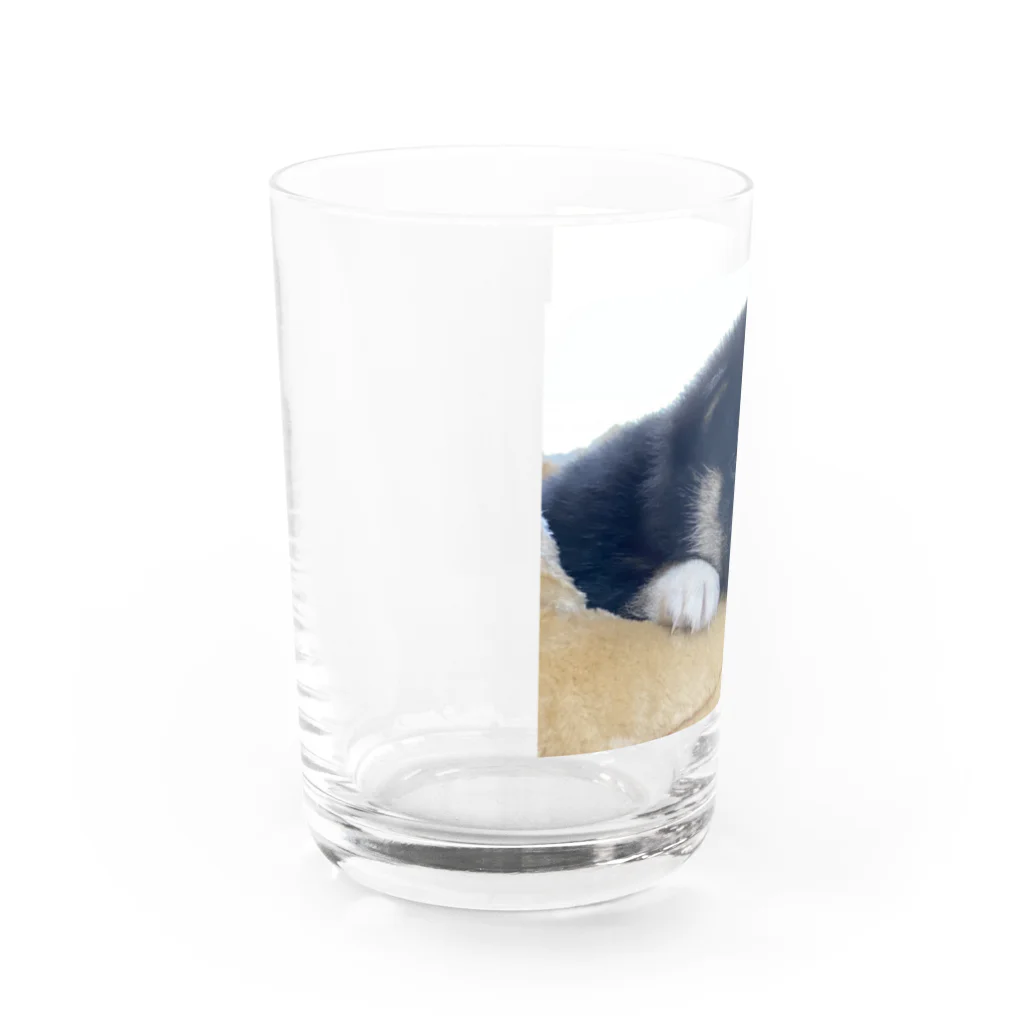 小豆のこまめくん Water Glass :left