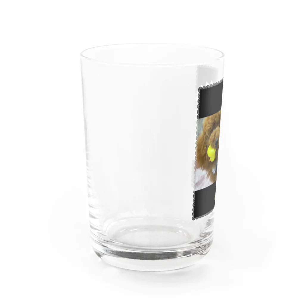 巨大ティーカッププードルの巨大ティーカッププードルのグッズ Water Glass :left