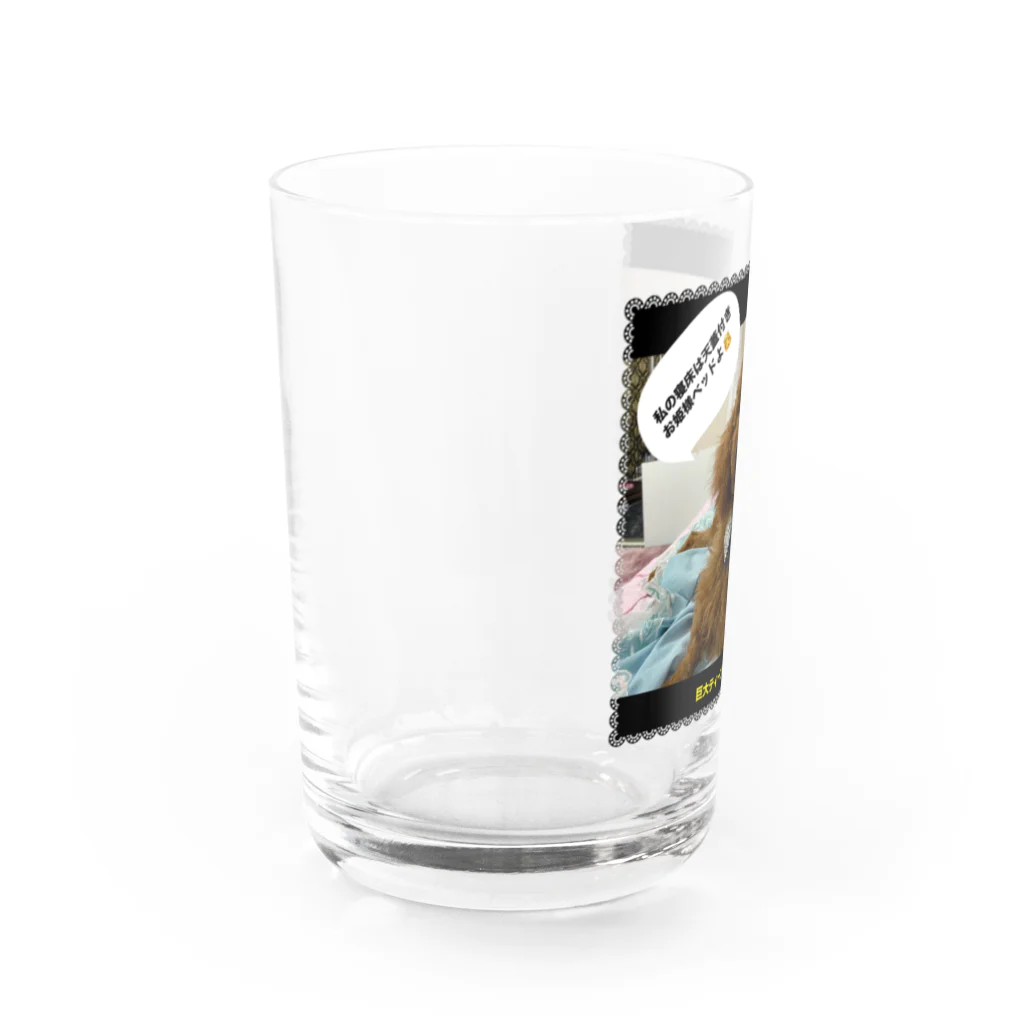 巨大ティーカッププードルの巨大ティーカッププードル Water Glass :left