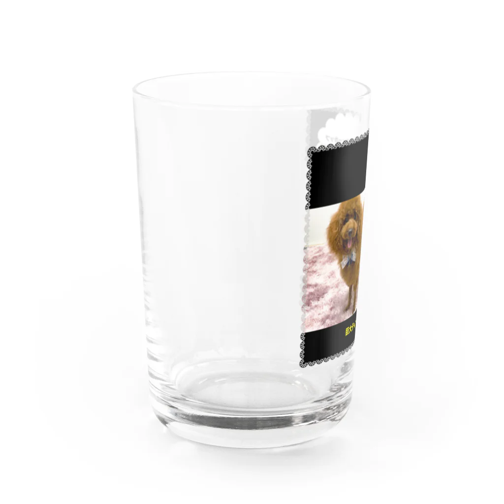 巨大ティーカッププードルの巨大ティーカッププードルのグッズ Water Glass :left