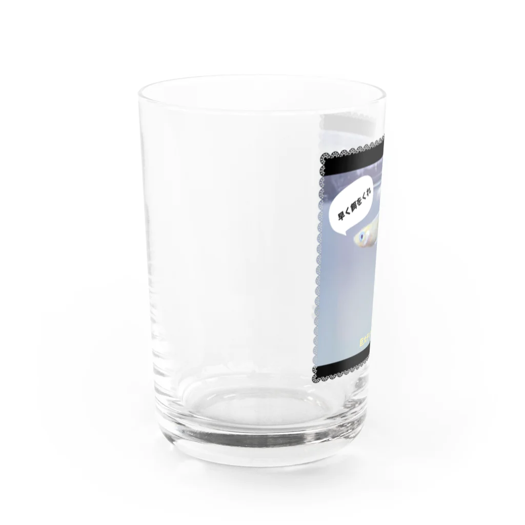 巨大ティーカッププードルの巨大ティーカッププードルのグッズ Water Glass :left