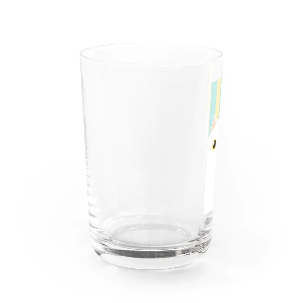 SHOP ベアたんのしろねこオッドアイさん Water Glass :left