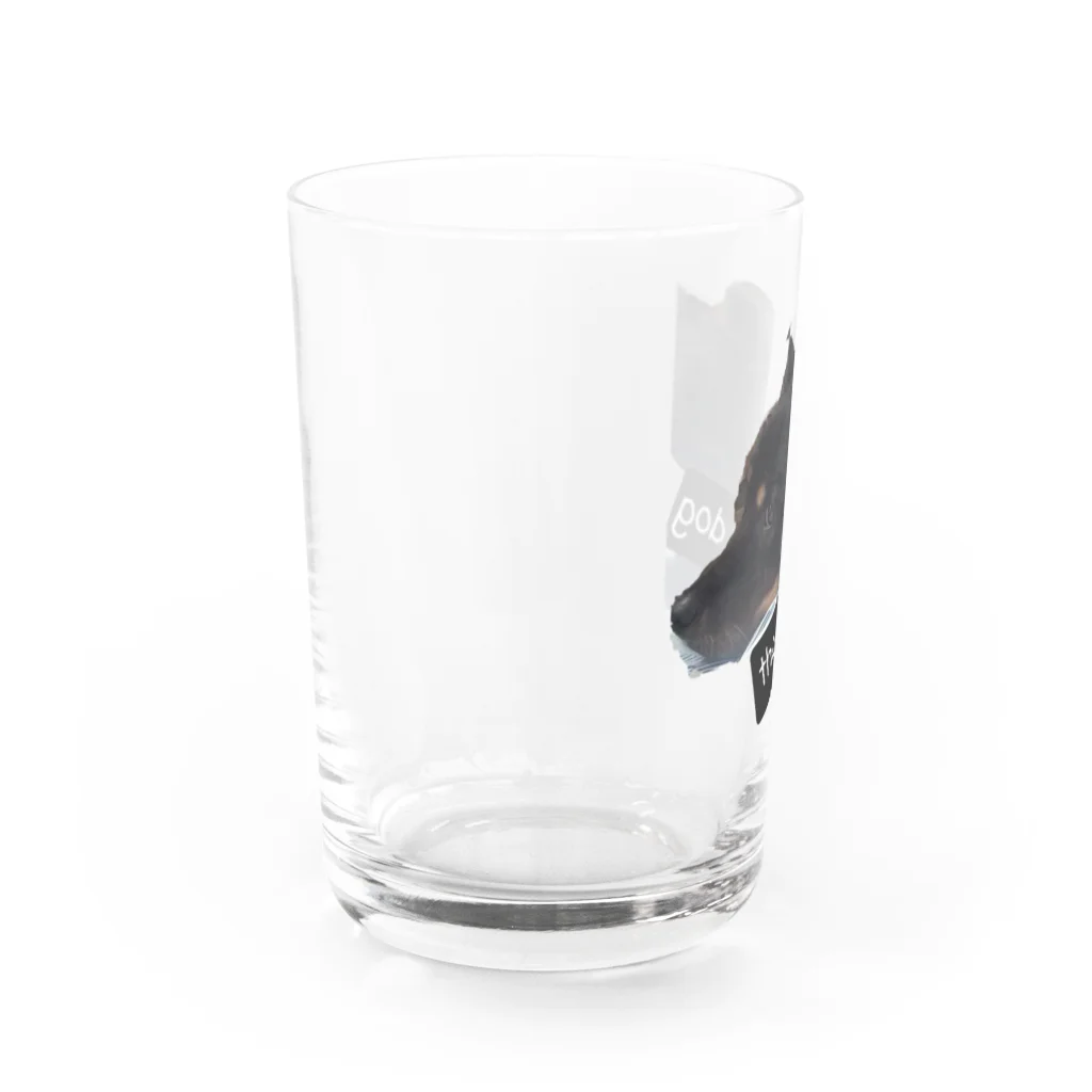 SASARiNS のThe black dog Water Glass :left