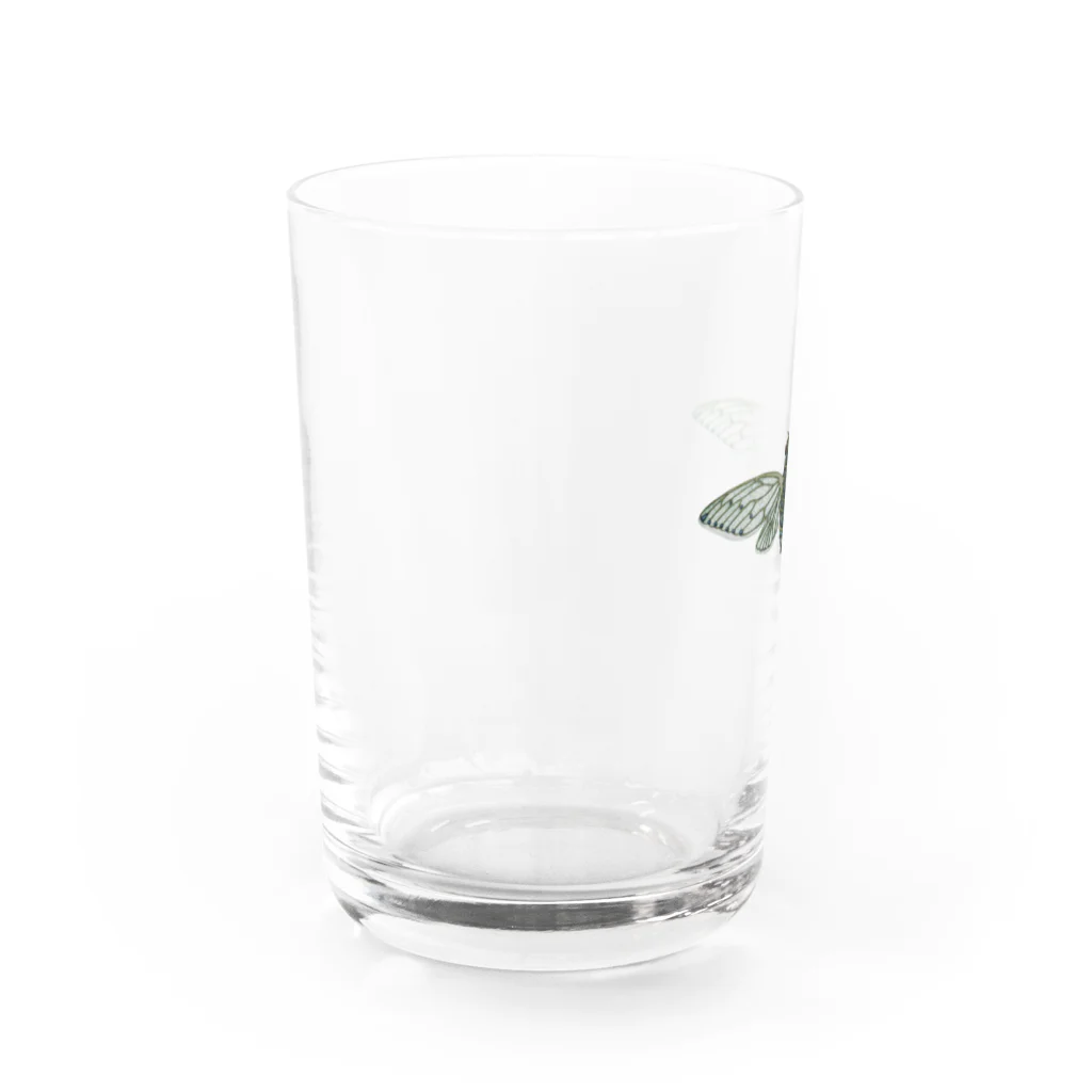ルルンパ・エンターテイメントのミンミンゼミ・テイクオフ Water Glass :left
