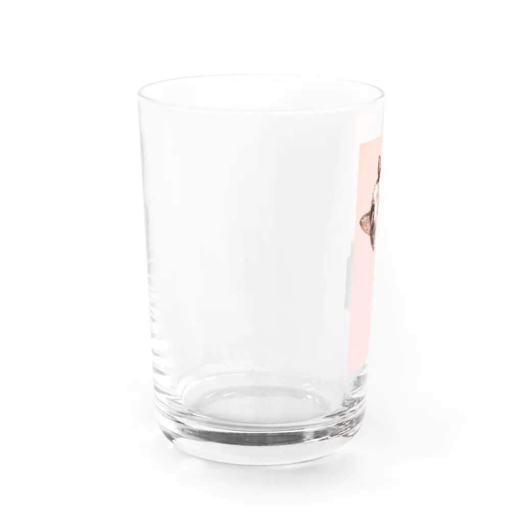 meowのハチワレ Water Glass :left