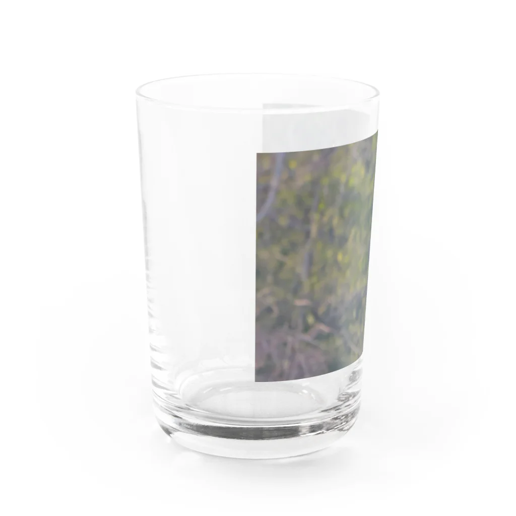MIM△made in mountainのクマタカ Water Glass :left