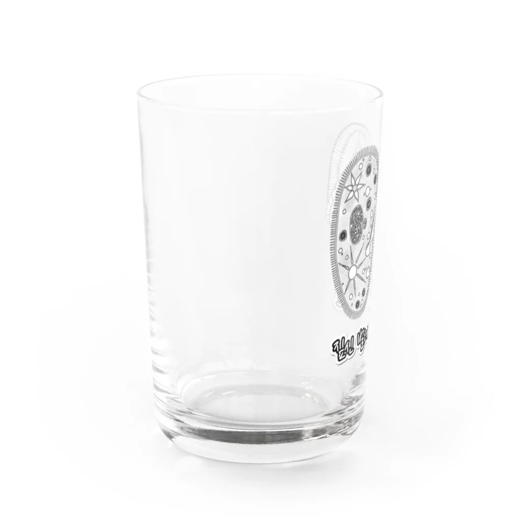 LalaHangeulのゾウリとゾウリムシ　ハングル Water Glass :left