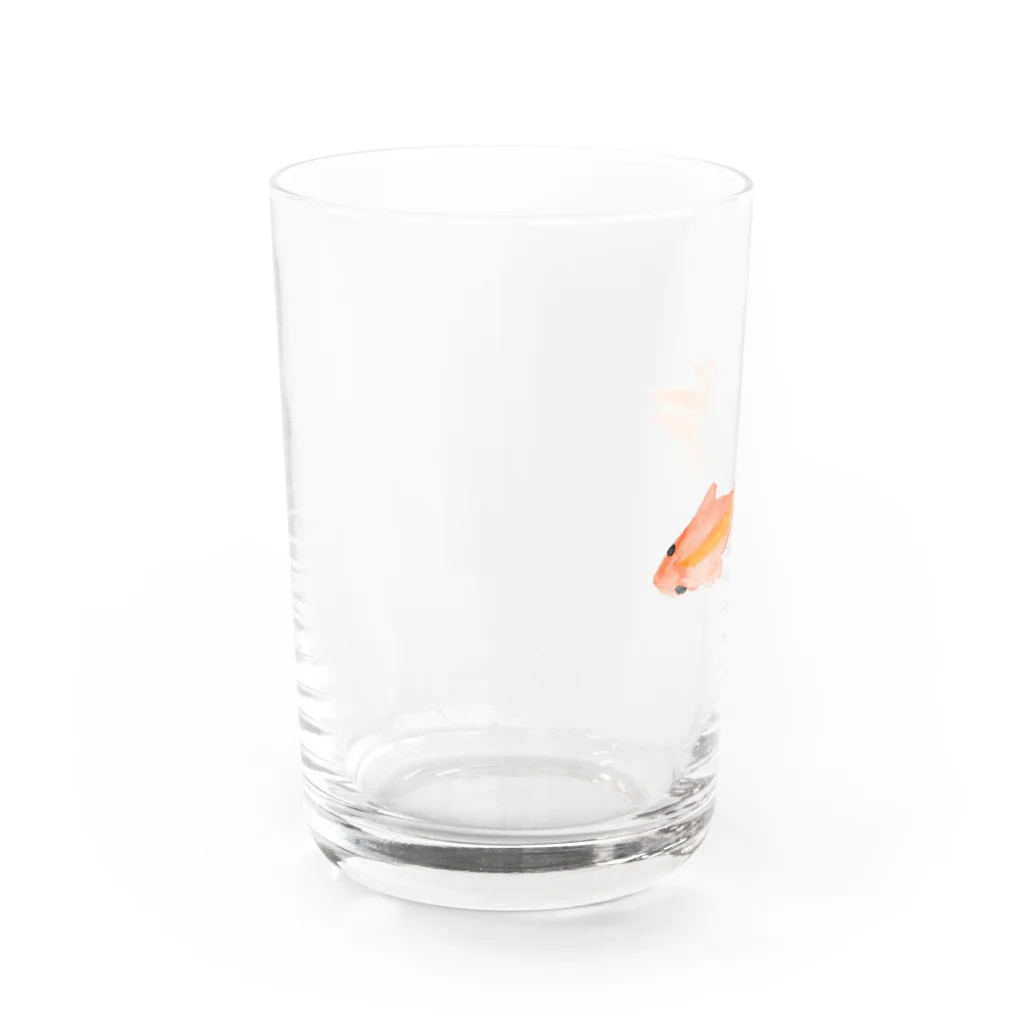 金魚のキンボの金魚 Water Glass :left