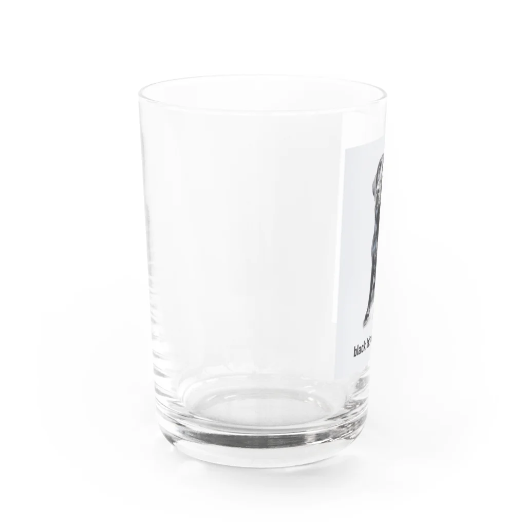 Black Labradors MatterのBlack Labradors Matter Water Glass :left