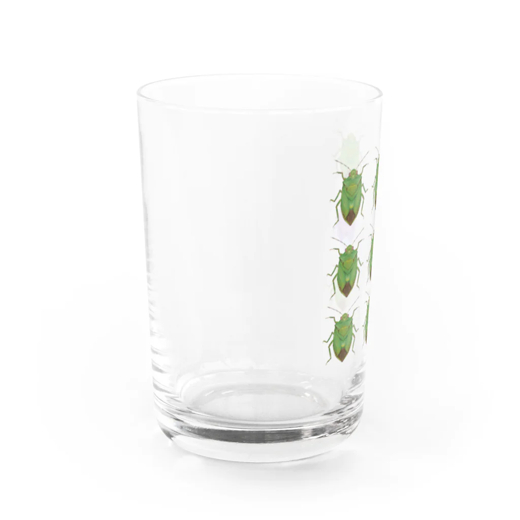 生物(ﾅﾏﾓﾉ)取扱店🦥のチャバネアオカメムシの秩序 Water Glass :left