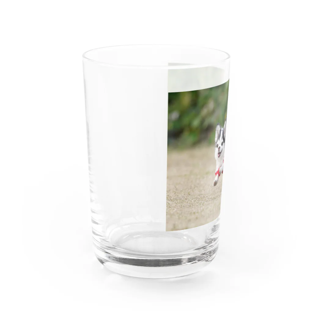 MILKY's SHOPのミルキー犬生の旅 Water Glass :left