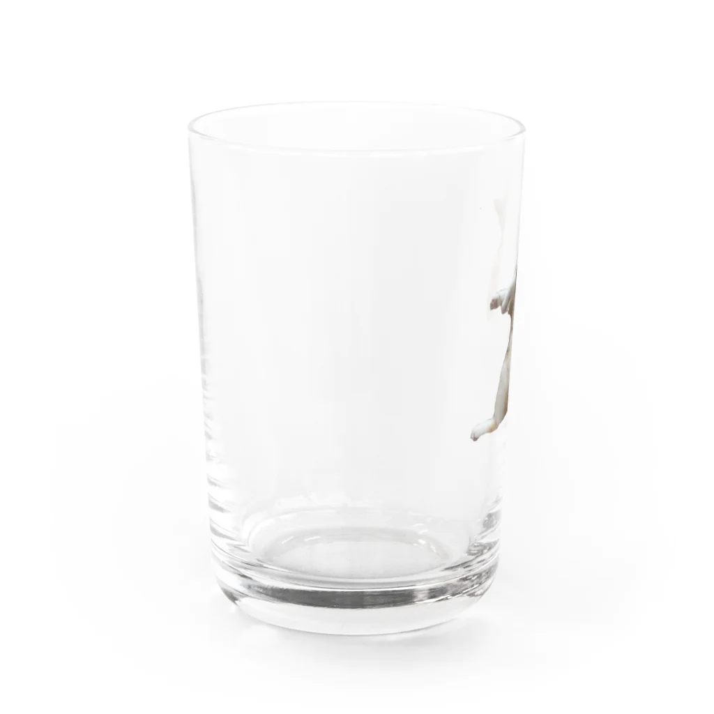 yui .のmenmaｺｯﾌﾟ! Water Glass :left