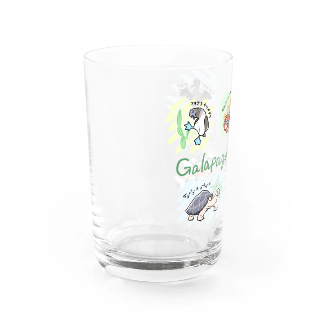 ちゅんTのガラパゴス諸島の仲間たち Water Glass :left