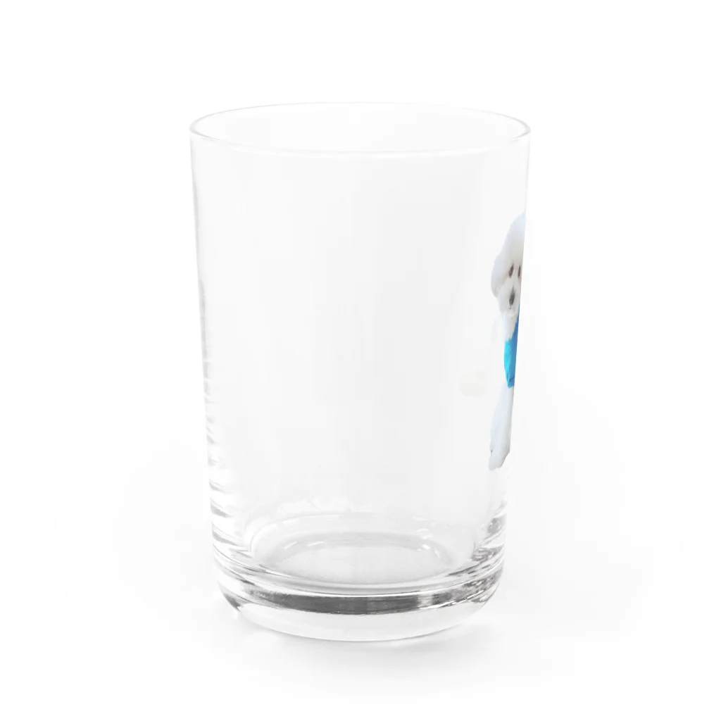 ぽんころ店のおすわりーぬ Water Glass :left