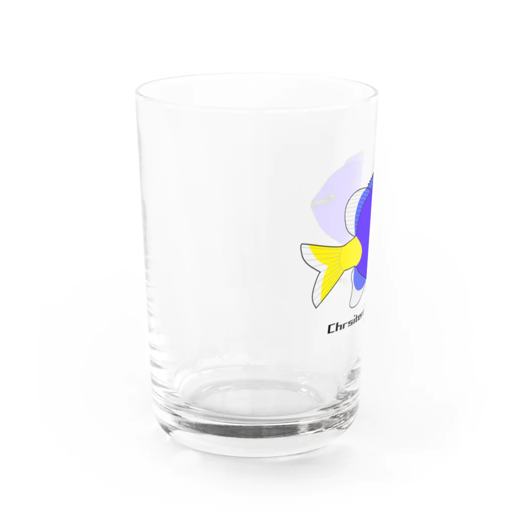 mihuneのシリキルリスズメダイ Water Glass :left