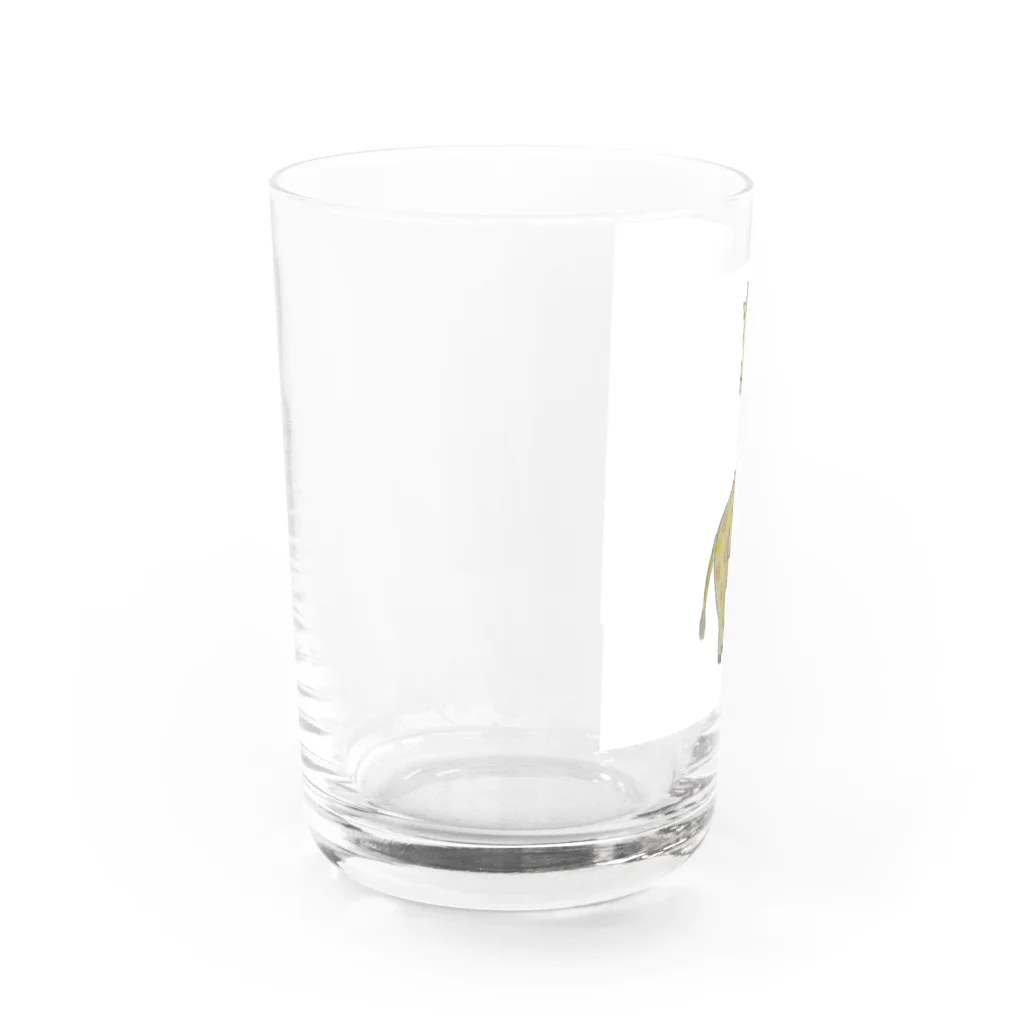 ファーストペンギンのきりんさん Water Glass :left