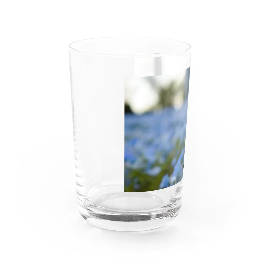 te Reneの瑠璃唐草 Water Glass :left