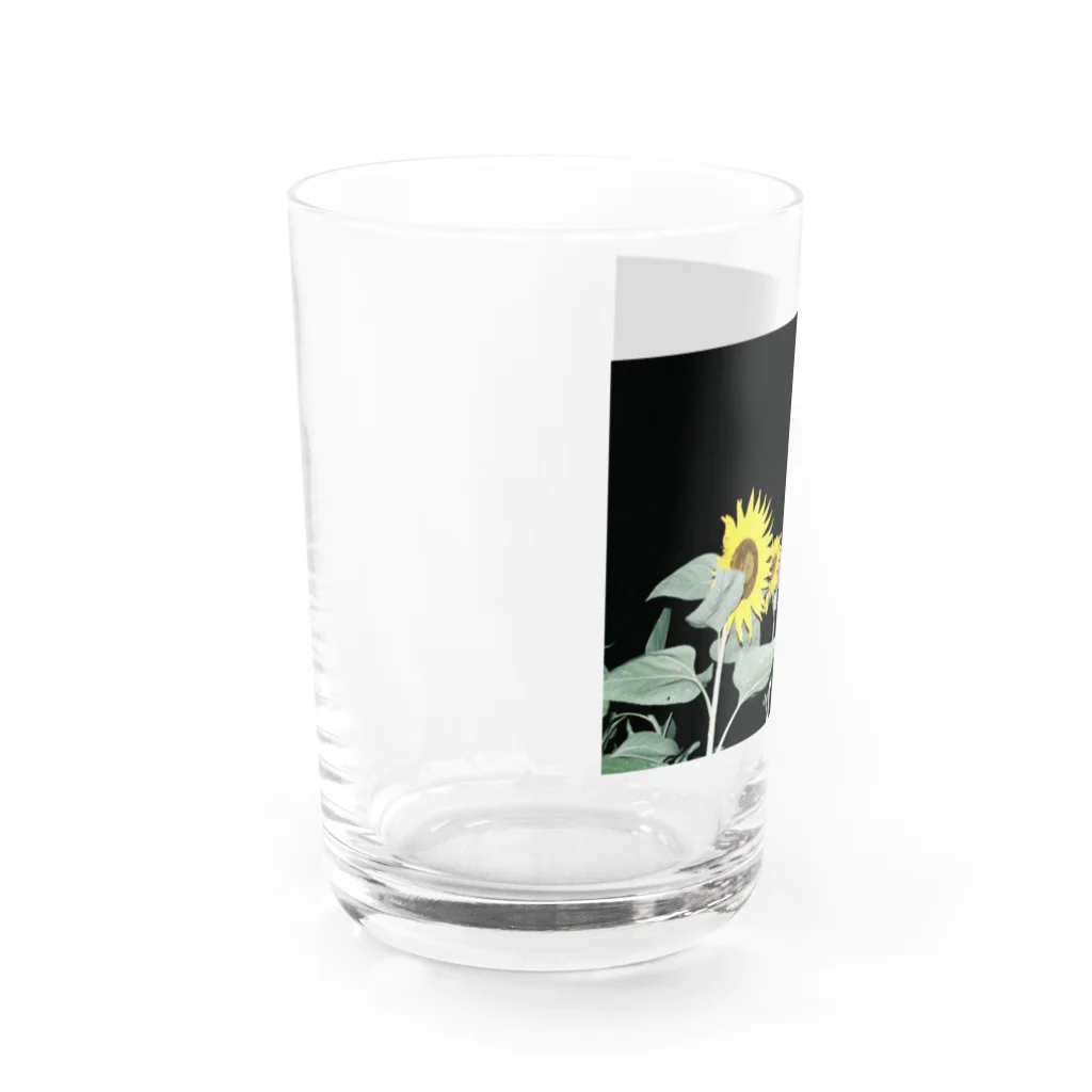 酢とレモンの夜の向日葵 Water Glass :left