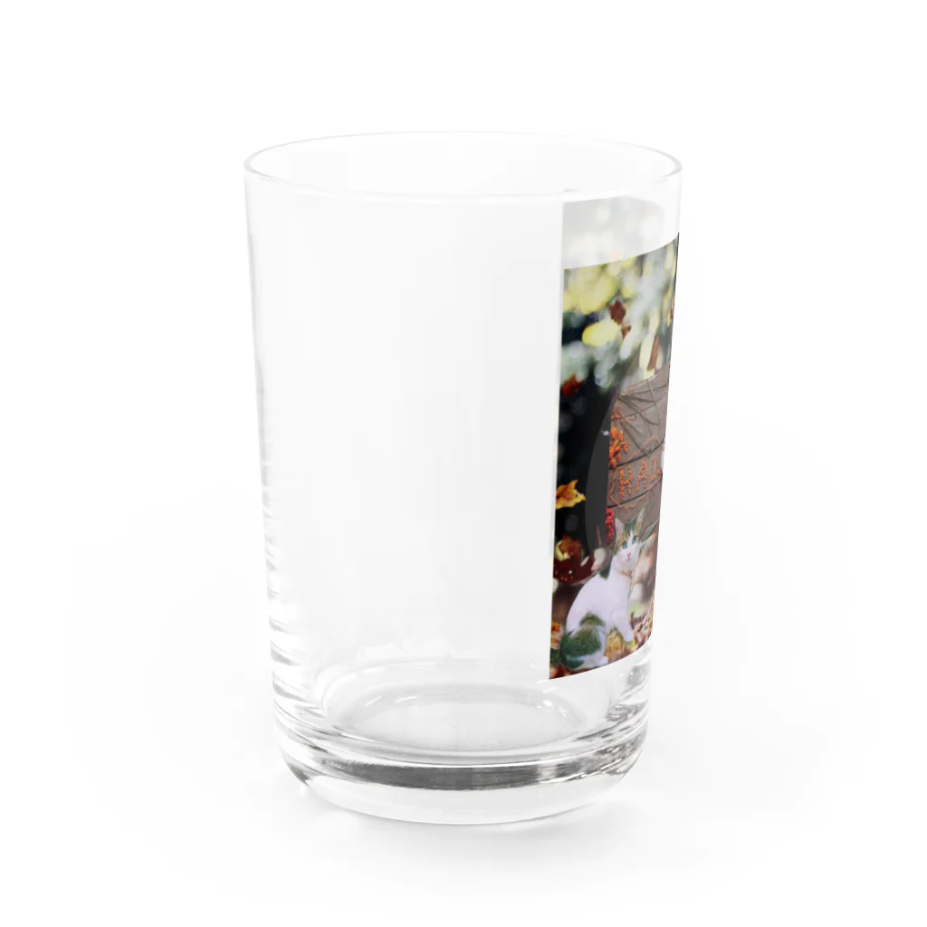 𝙈𝙊𝙈𝙊'𝙨 𝙎𝙝𝙤𝙥のHappy Halloween #02 Water Glass :left