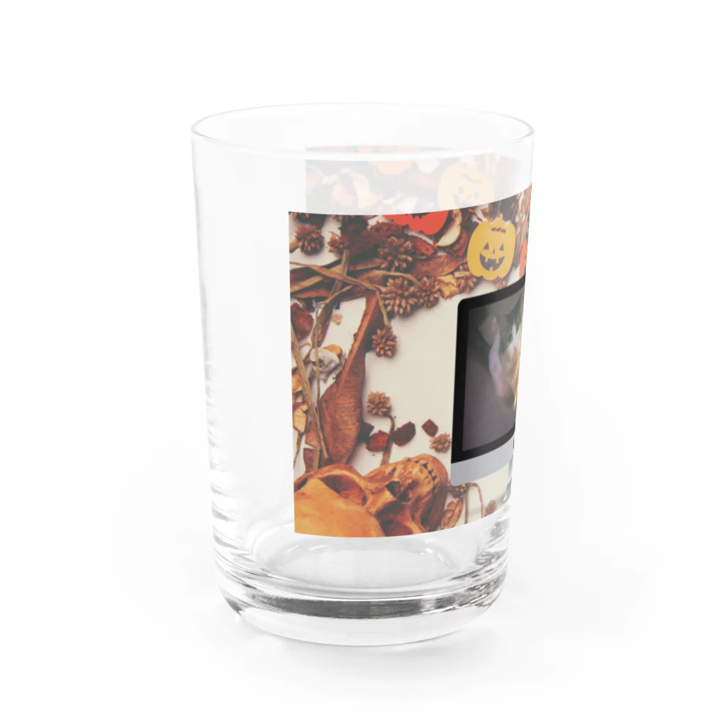 𝙈𝙊𝙈𝙊'𝙨 𝙎𝙝𝙤𝙥のHappy Halloween #06 Water Glass :left