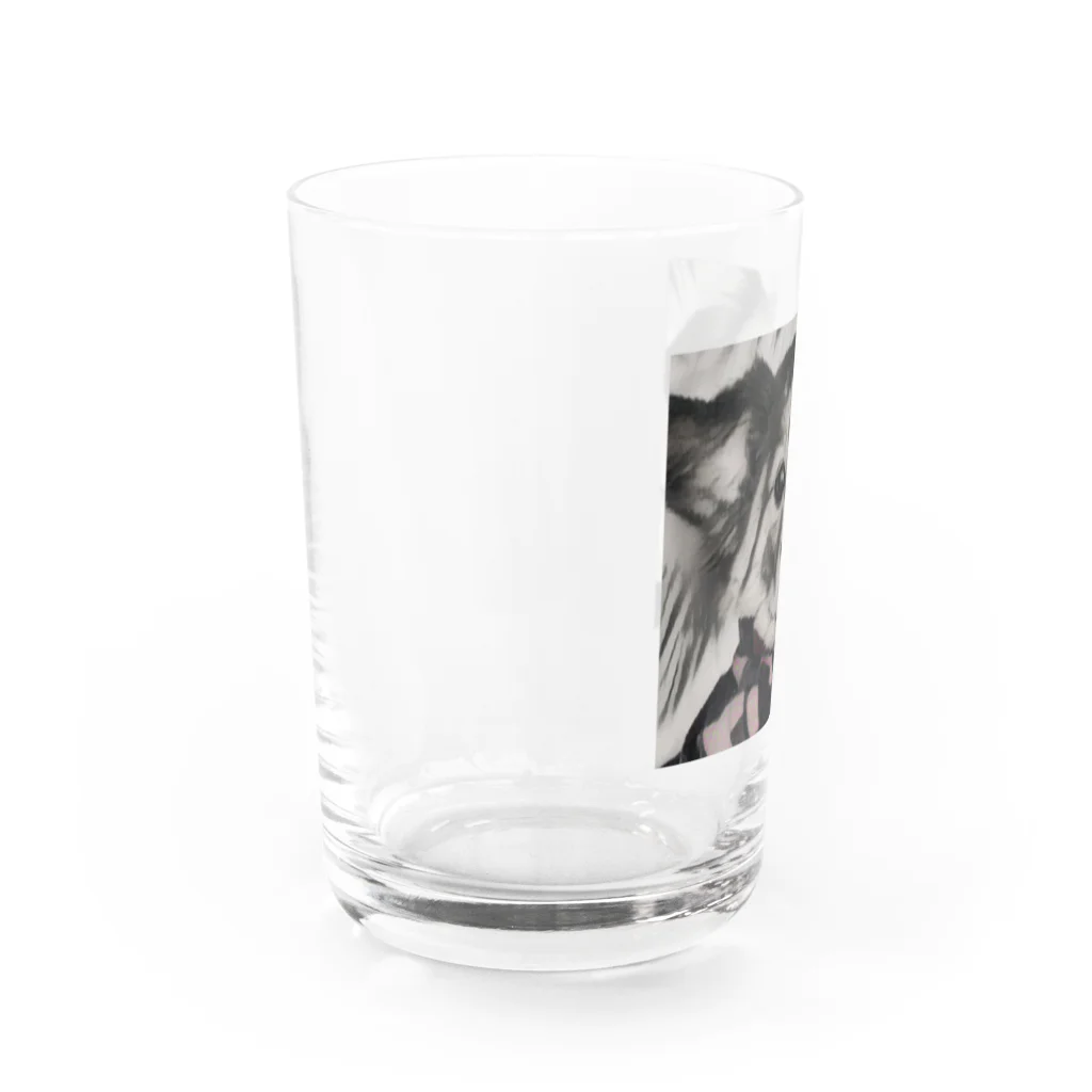 ももももものこうすけくん Water Glass :left