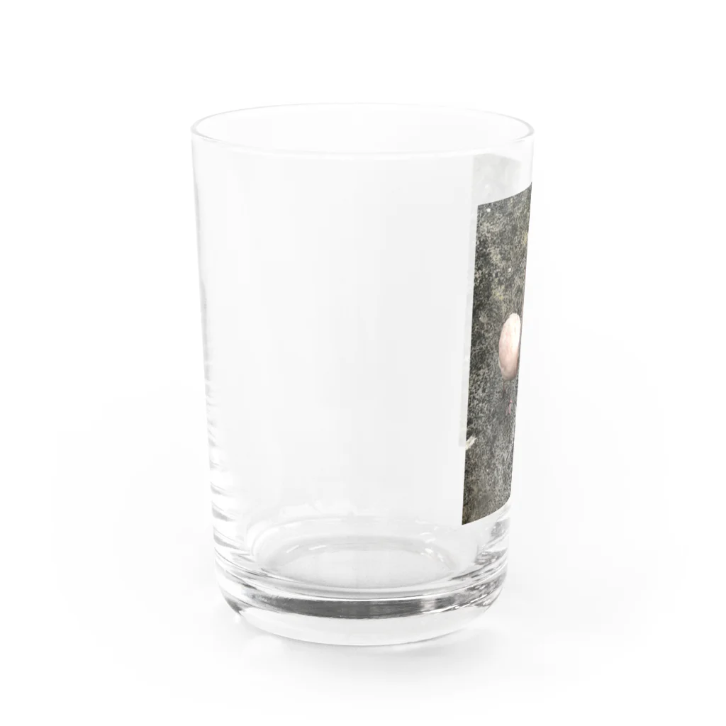 noji_yaaのフラミンゴ Water Glass :left